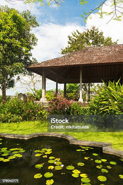 ハス池にインドネシア公園 - アジア大陸のストックフォトや画像を多数ご用意 - アジア大陸, インドネシア, スイレン
