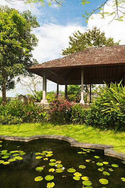 istock Lotus pond in Indonesian park 179040771