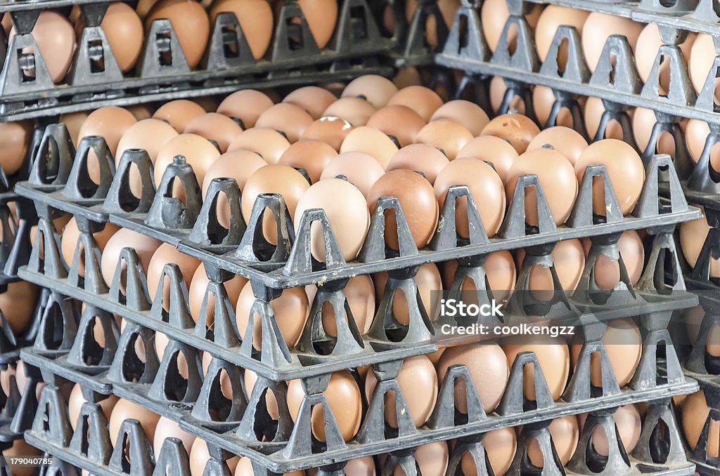 Caixa de Ovos no mercado - Foto de stock de Agricultor royalty-free