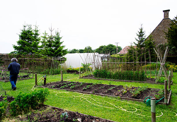 野菜園 - single lane road footpath flower formal garden ストックフォトと画像