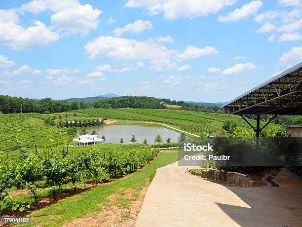 Vinha No Norte Da Geórgia - Fotografias de stock e mais imagens de Geórgia - Sul dos Estados Unidos - Geórgia - Sul dos Estados Unidos, Vinha, Agricultura