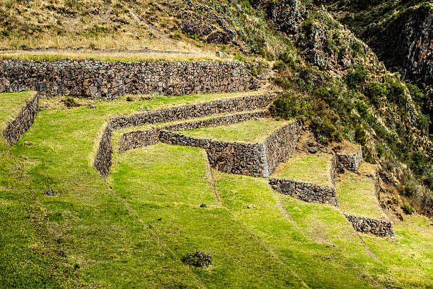 istock Peru,Pisac- Inca ruins in the sacred valley,Peruvian Andes 179042124