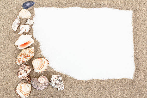 istock sea shells with sand and white paper as background 179042270