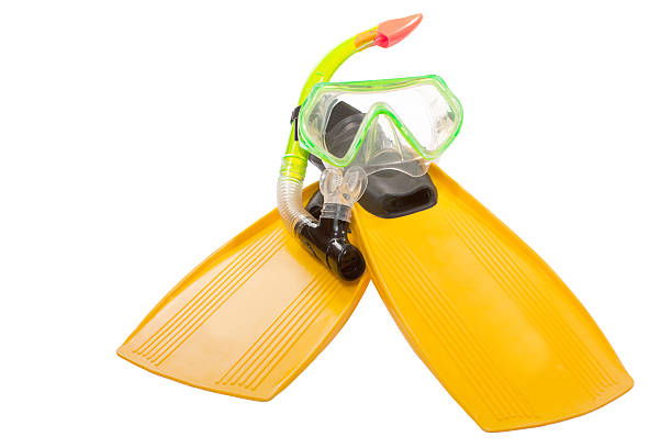 istock flippers and mask for a scuba diving 179042367