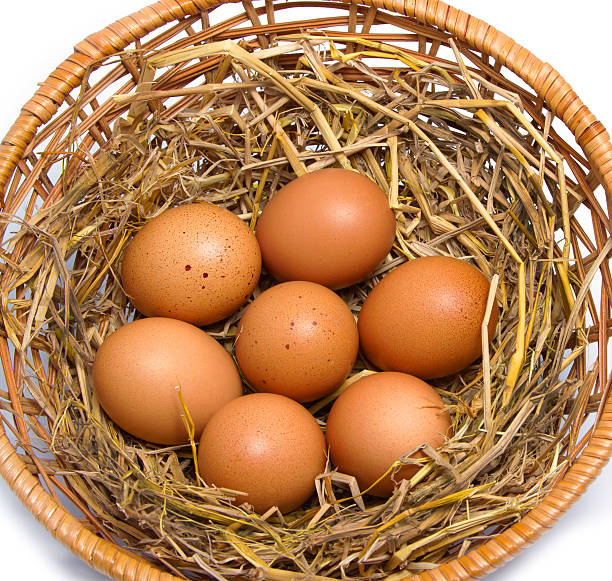 Brown eggs in wooden basket stock photo