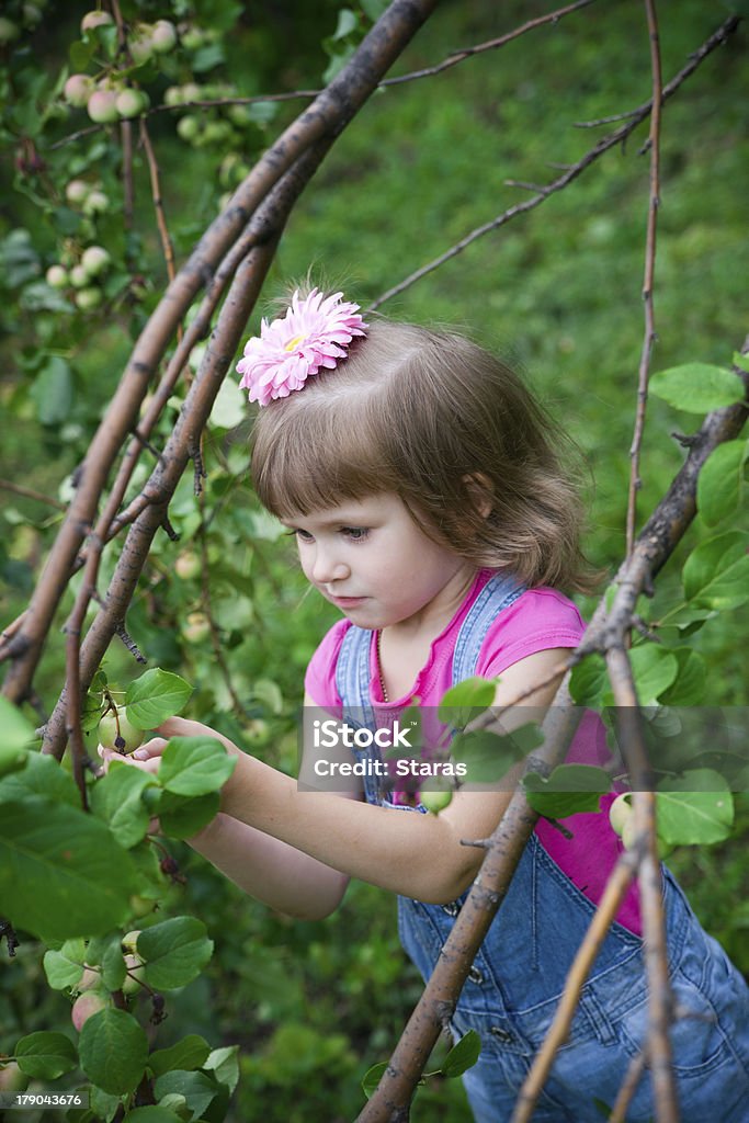 Dziewczynka w Sad jabłkowy - Zbiór zdjęć royalty-free (4 - 5 lat)