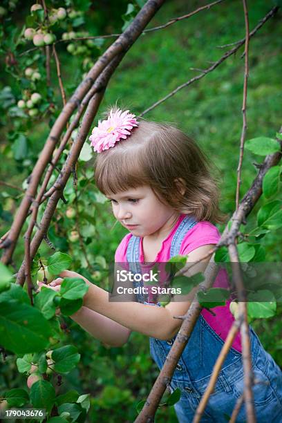 Dziewczynka W Sad Jabłkowy - zdjęcia stockowe i więcej obrazów 4 - 5 lat - 4 - 5 lat, Aspiracje, Blond włosy