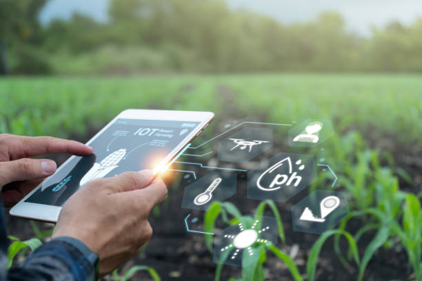 istock Farmer uses digital tablet in corn field with smart farming interface icons and smart technology, research on data, agriculture problem analysis, agribusiness concept. 1790437665