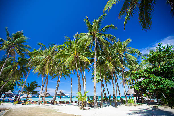 istock tropical sunny beach in beautiful exotic resort 179043797