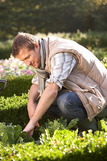 istock Young man working in garden 179043891