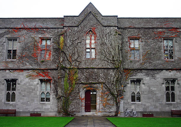 University of Galway, Ireland. "Facade of Galway University building, Ireland, covered with vines and climbing plants." galway university stock pictures, royalty-free photos & images