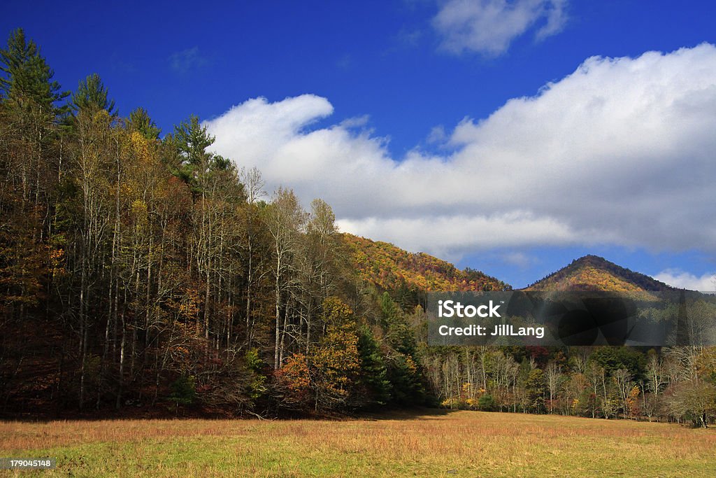 Pico da montanha e campo - Foto de stock de Appalachia royalty-free