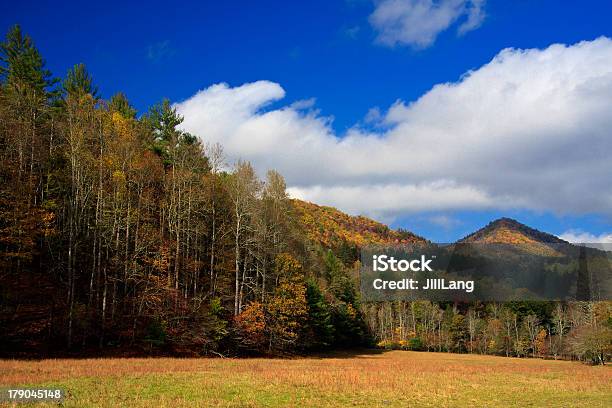 Foto de Pico Da Montanha E Campo e mais fotos de stock de Appalachia - Appalachia, Azul, Beleza natural - Natureza