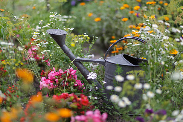 Watering can among flowers in the garden.