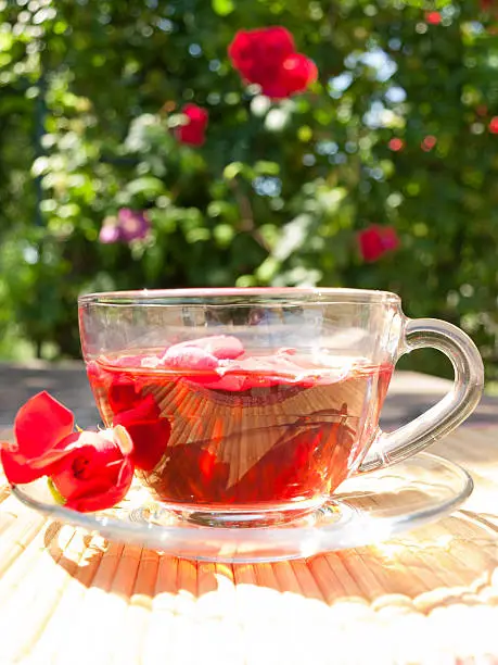 Transparent cup with rose petals on the background of rose bush