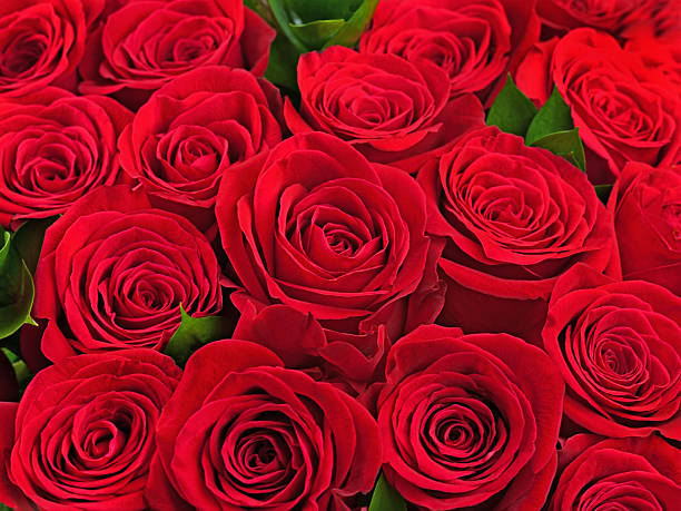 istock Colorful flower bouquet from red roses. 179046053