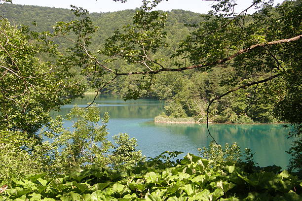 benvenuti a plitvicka jezera - plitvice lakes national park water lake national park foto e immagini stock