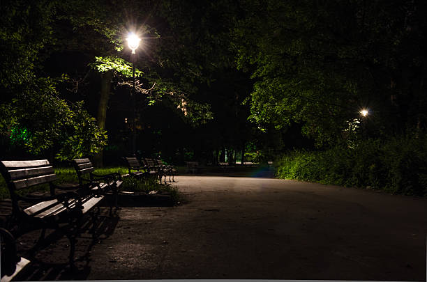 istock City park in Novi Sad 179046366