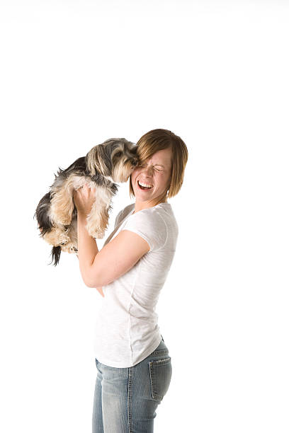 istock Puppy Loves Its Owner 179046556
