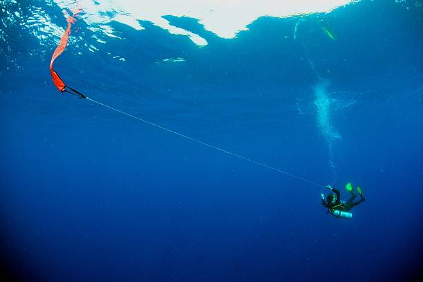 mergulhador planando sobre ponto de segurança - mergulho autónomo - fotografias e filmes do acervo