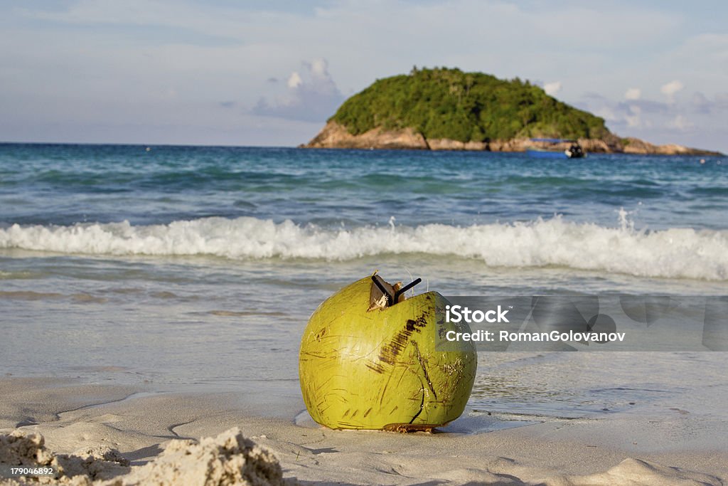 Cocco sulla spiaggia - Foto stock royalty-free di Acqua