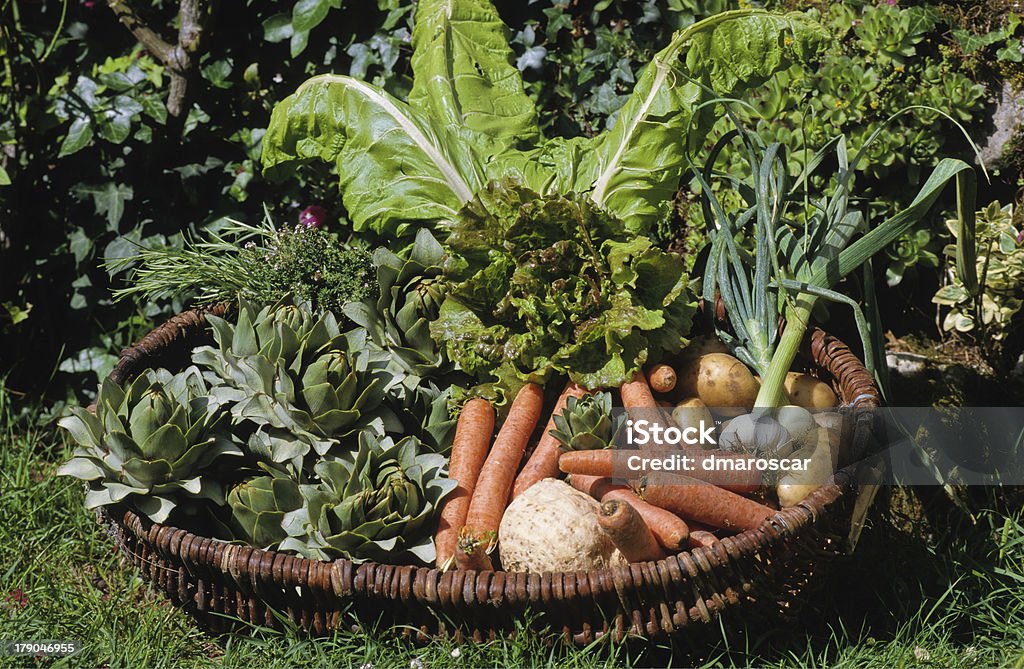 panier 공제율 légumes - 로열티 프리 건강한 식생활 스톡 사진
