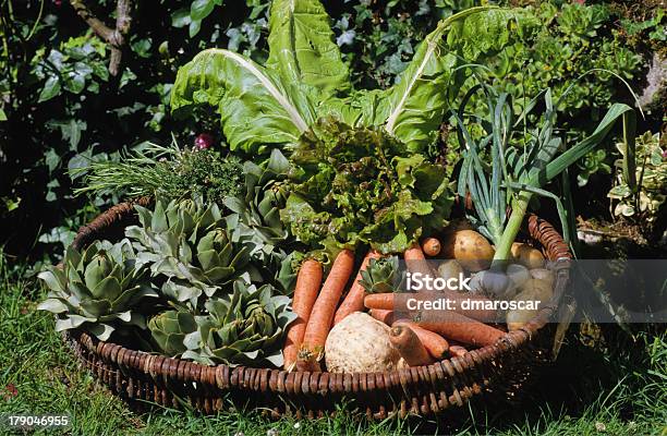 Foto de Panier De Légumes e mais fotos de stock de Aipo - Aipo, Alcachofra, Alface