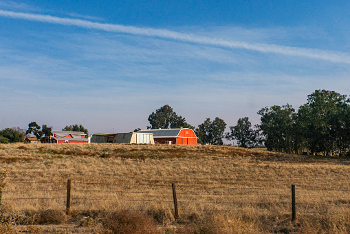 Red Barns up on a Hill in a field in Rural California