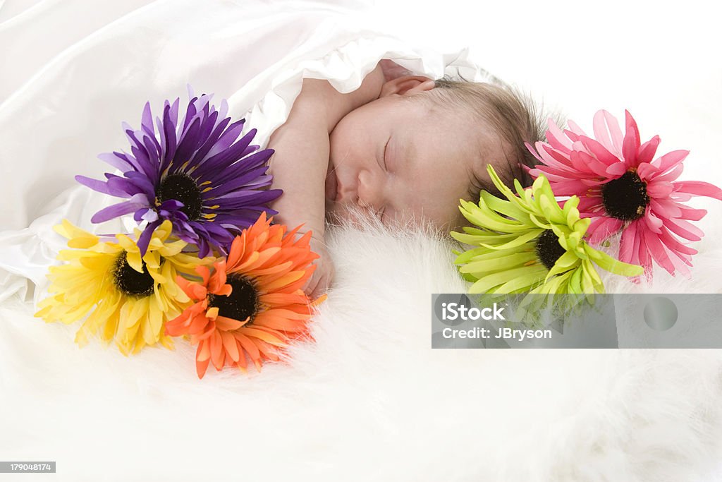 Szlachetne Nowonarodzone dziecko śpi spokojnie Amoung kwiaty - Zbiór zdjęć royalty-free (Córka)