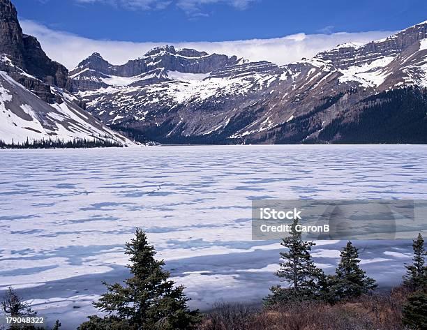Bow Lake Albera Canada Stock Photo - Download Image Now - Alberta, Banff National Park, Bow Lake