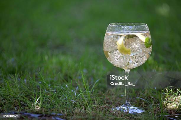 Gin Z Tonikiem Koktajl Z Trawa Tło - zdjęcia stockowe i więcej obrazów Alkohol - napój - Alkohol - napój, Bez ludzi, Canela