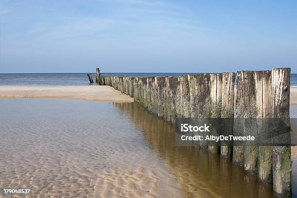 Dutch Coastline Near Schoorl Stock Photo - Download Image Now - Beach, Beauty, Beauty In Nature