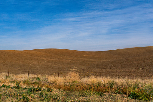 Agricultural Landscape - Empty Dirt Field with Blue Sky