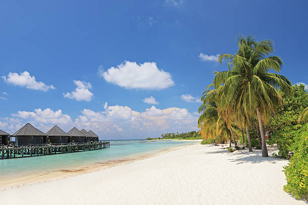 istock Scene of beach with trees and villa cottages 179048897
