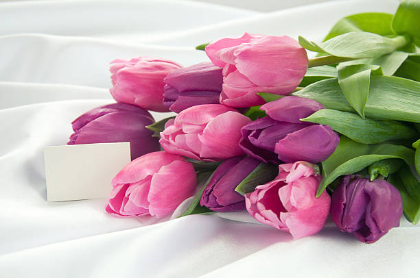 istock Pink and violet tulips on white silk with card 179048961