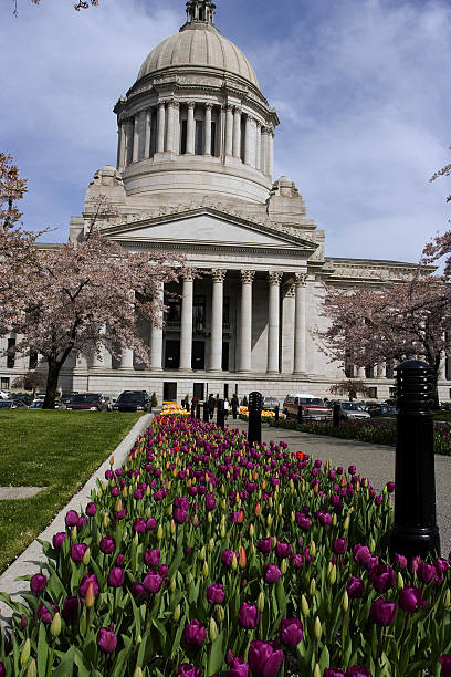 istock Legislative capitol building in neo classical style 179048964