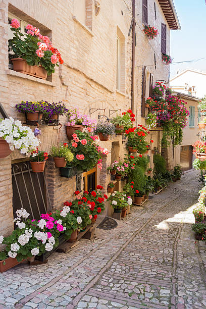 istock Alley with flower vases 179049089