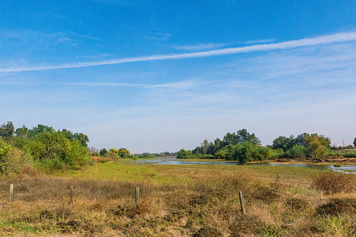 Natural Landscape - Small River through Rural Area in California, USA