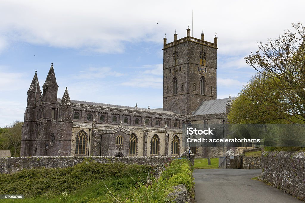 St David's Cathedral Pembrokeshire Walia - Zbiór zdjęć royalty-free (Duszpasterz)