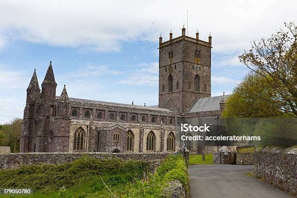 St Davids Cathedral Pembrokeshire Walia - zdjęcia stockowe i więcej obrazów Duszpasterz - Duszpasterz, Katedra, St David's