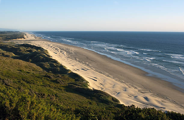 istock Oregon Dunes National recreation park on a sunny day 179051668
