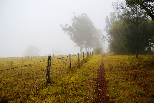 A rural fence line in the fog