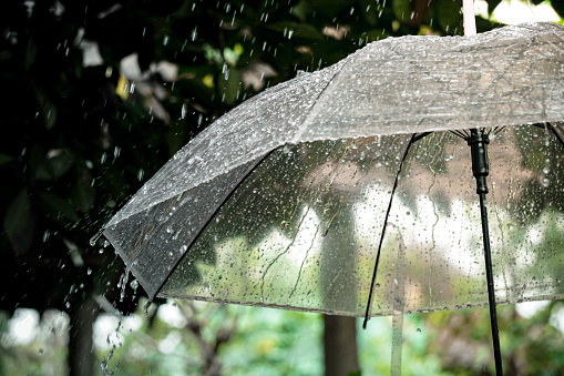 Rain water falls on a transparent umbrella with a natural background