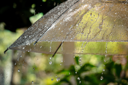 Rain water falls on a transparent umbrella with a natural background