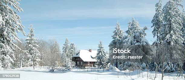 Inverno Im Schwarzwald - Fotografie stock e altre immagini di Architettura - Architettura, Bianco, Composizione verticale