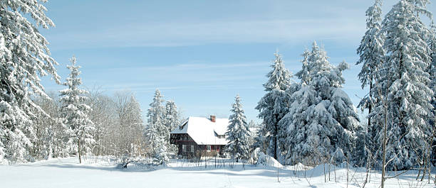 istock Winter in the Black Forest 179052938