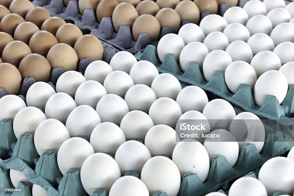 Huevos - Foto de stock de Agricultura libre de derechos