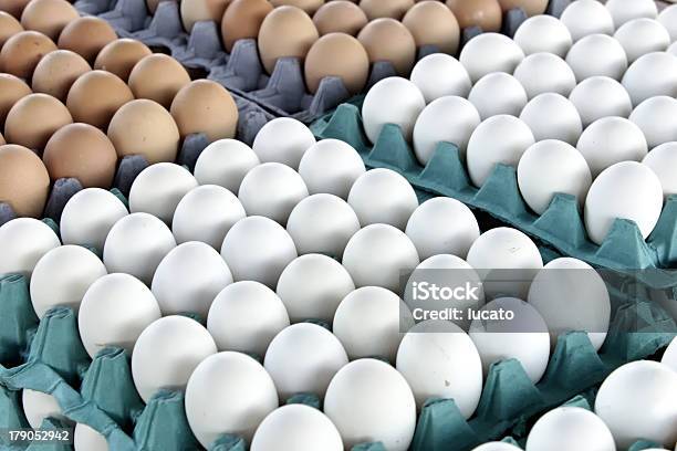 Ovos - Fotografias de stock e mais imagens de Agricultura - Agricultura, Branco, Caixa