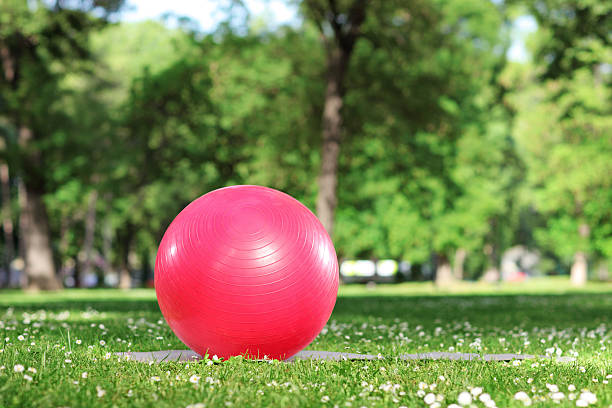 istock Red pilates ball on a grass in park 179053375