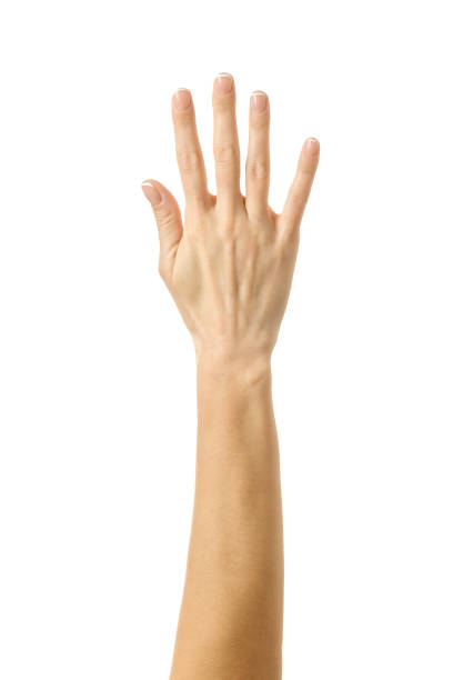 istock Raised hand voting or reaching. Woman hand gesturing isolated on white 1790540158